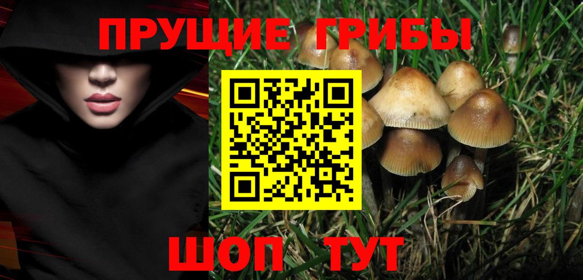 Галлюциногенные грибы мицелий  Вход с VPN  где купить наркотик  Электрогорск 